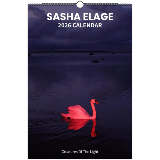 3eec3f4d-8cff-49d1-bb2e-21502cdbc6d3