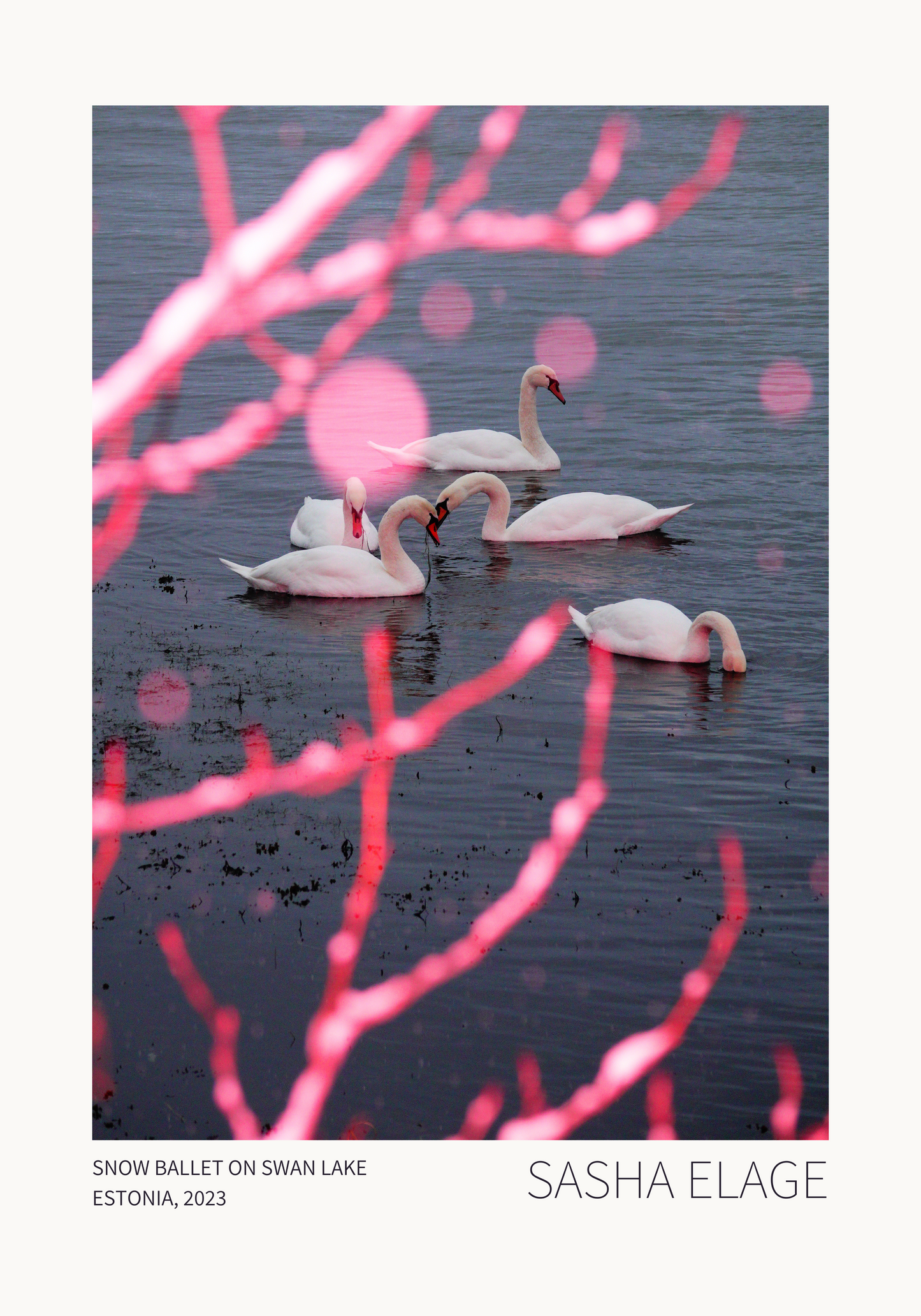 Snow Ballet on Swan Lake
