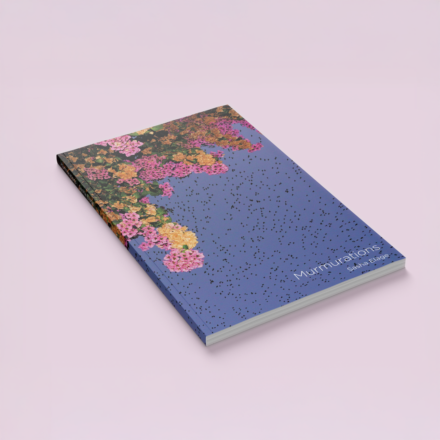 "Murmurations" Photography Book