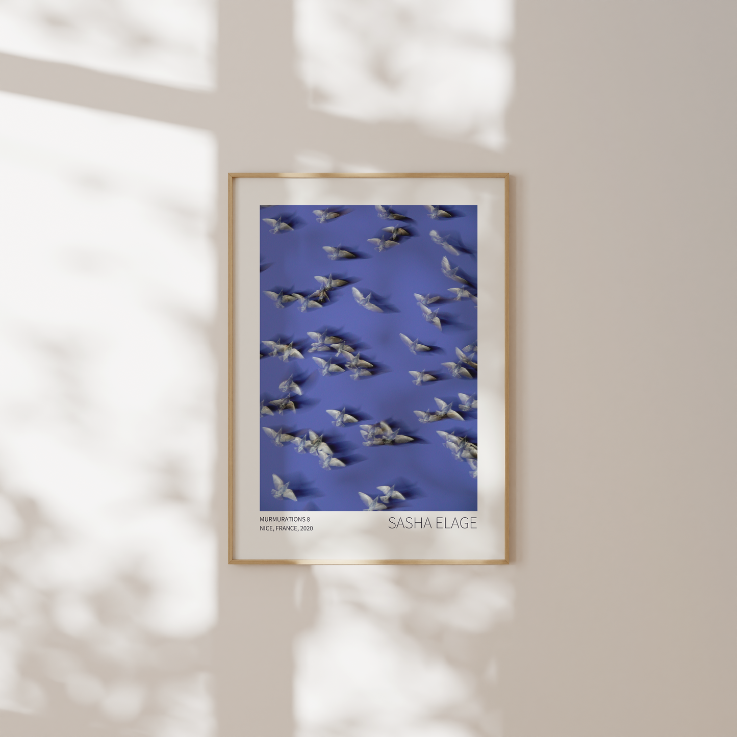 Murmurations 8