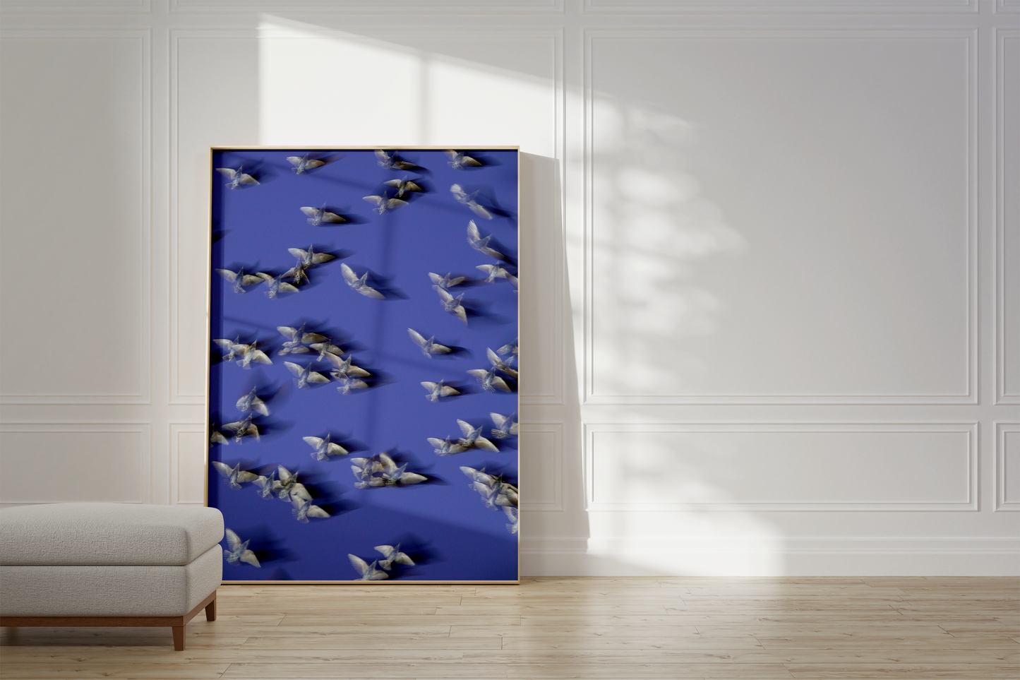 Murmurations 8