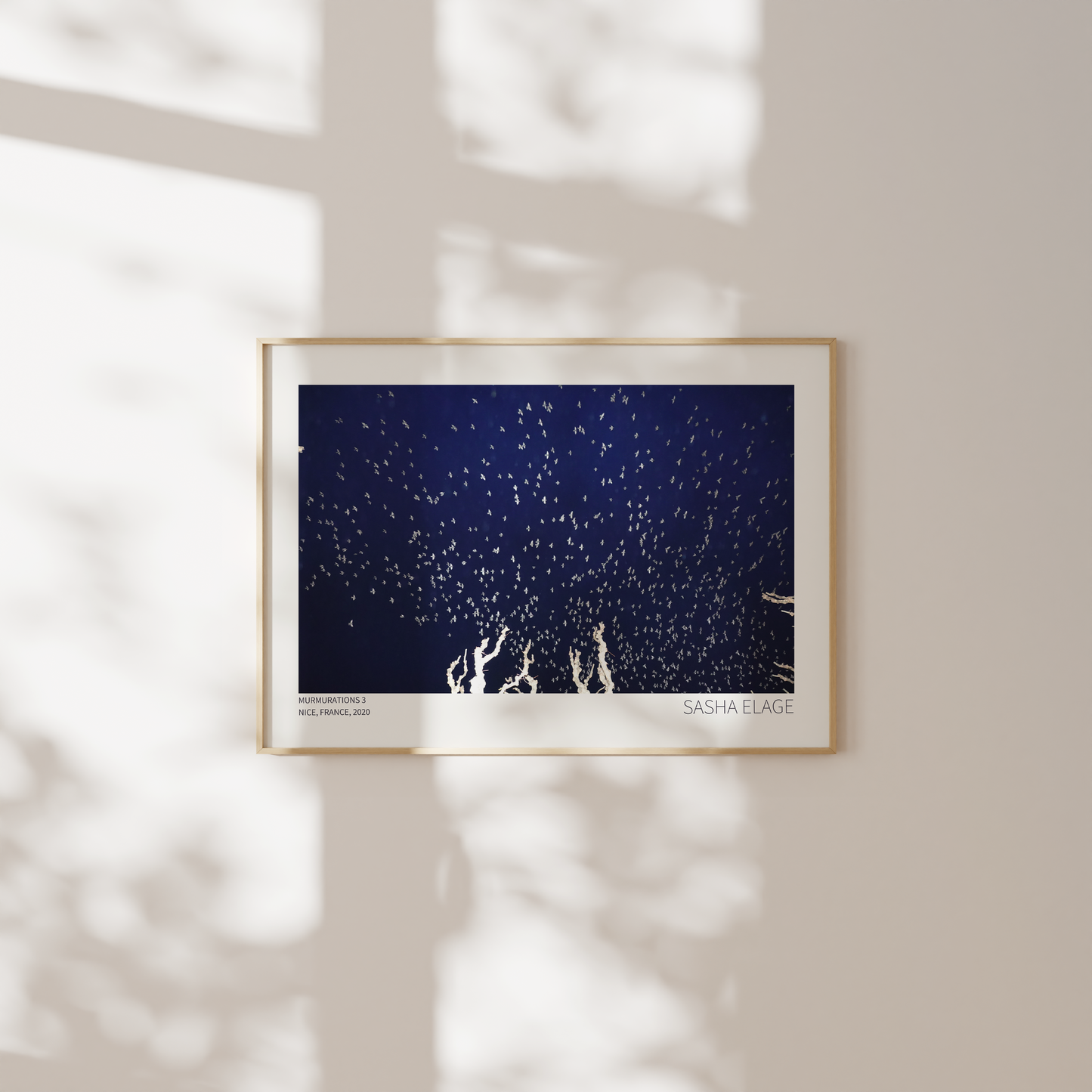 Murmurations 3