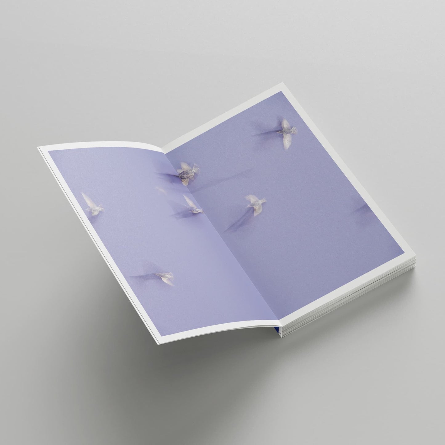 "Murmurations" Photography Book