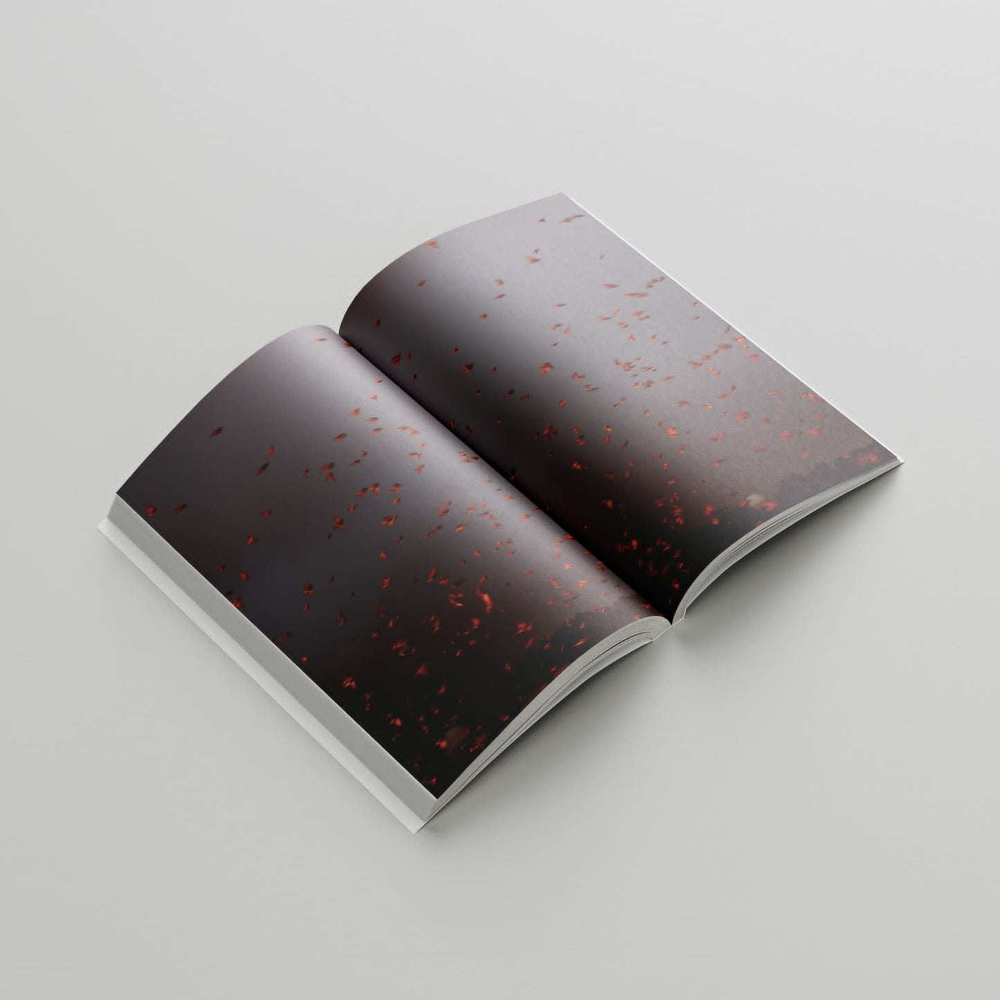 "Murmurations" Photography Book
