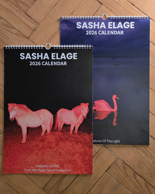 (BUNDLE) 2 calendars for $99 (save $39) 2026 Creatures of the Light & Icelandic Horses