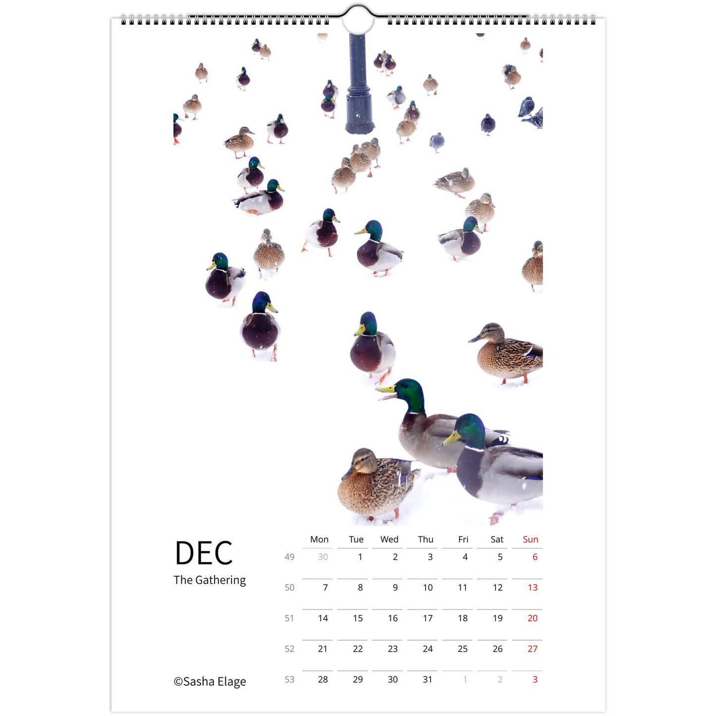 b10639db-0fac-4d60-b56a-c0fce867513e