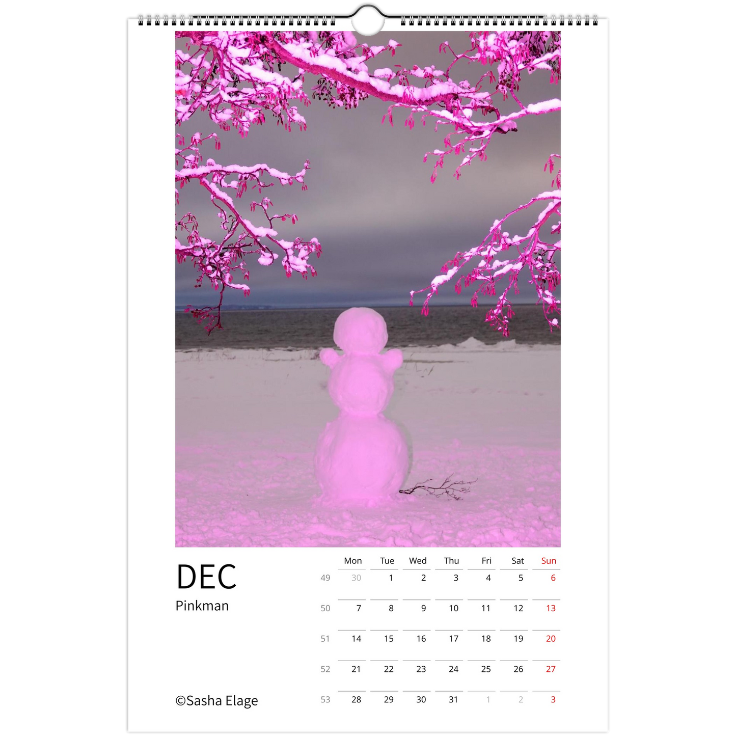 e62acbba-27d7-47b9-9aa2-6c820f9861d1