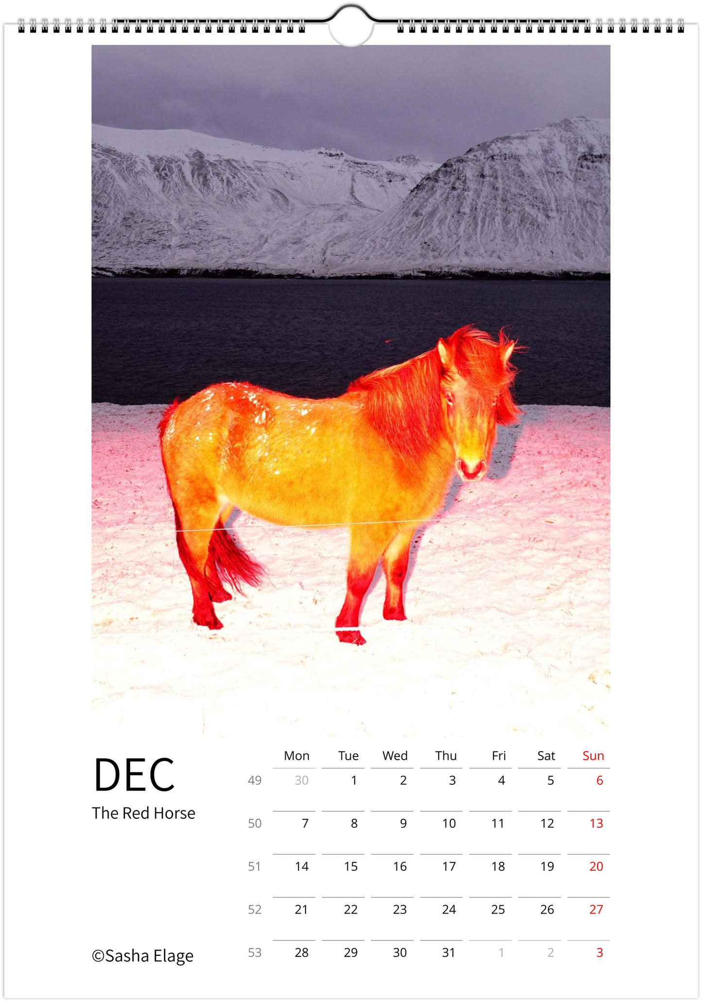 Icelandic Horses 2026 Calendar