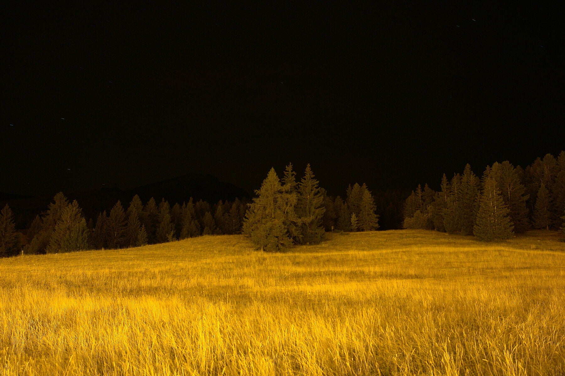 The Secret Place