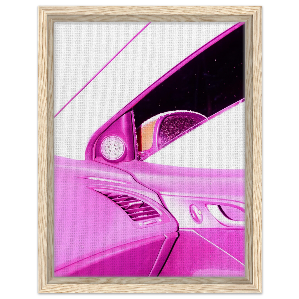 pinkterior-framed-canvas