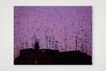 Murmurations 5-Limited Edition — 80×60cm, 31×24" Print only