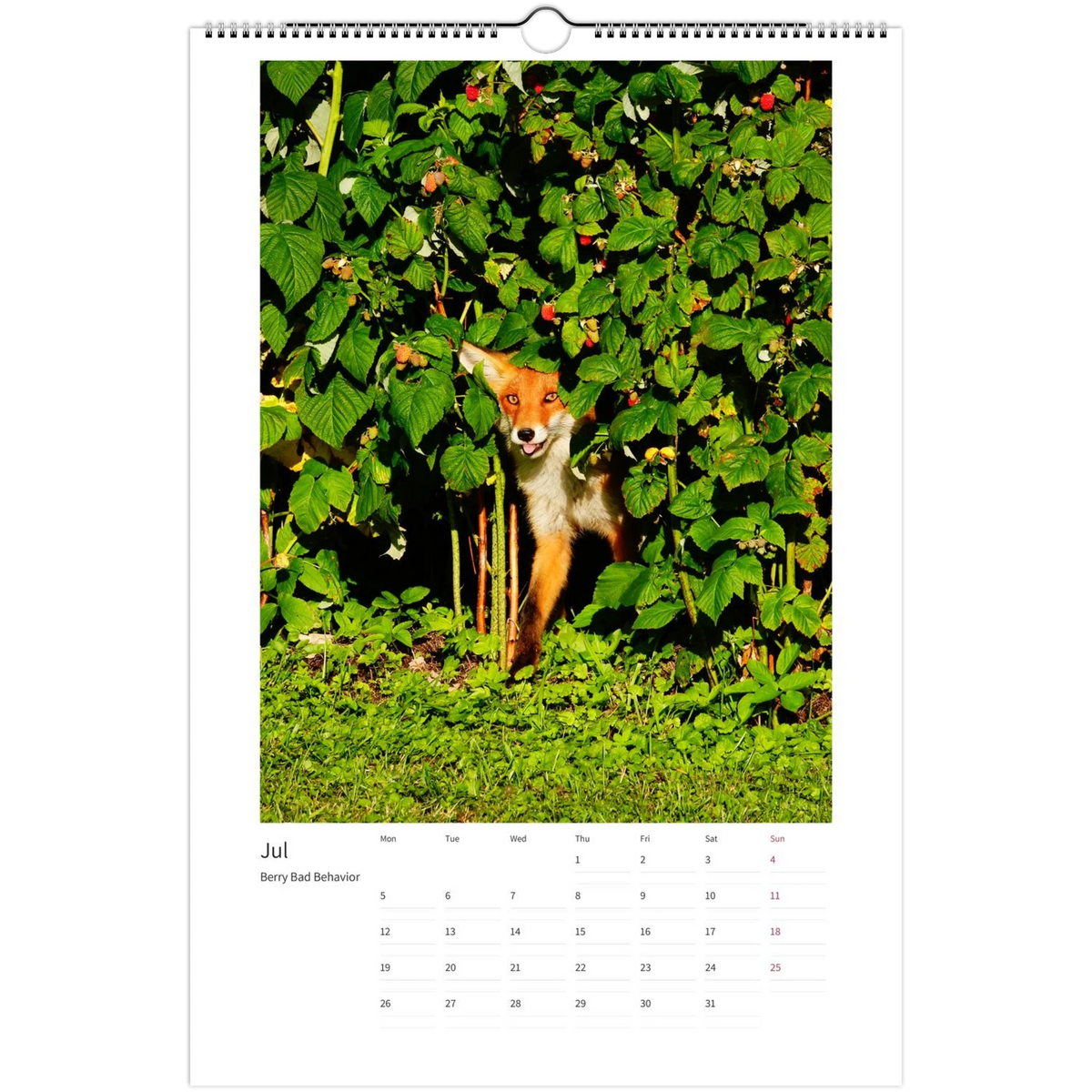 2027 Foxes Calendar