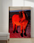 Red Horse with a Fringe, fine art photograph by Sasha Elage, Magic Island collection