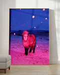 The Magic Horse - Limited Edition