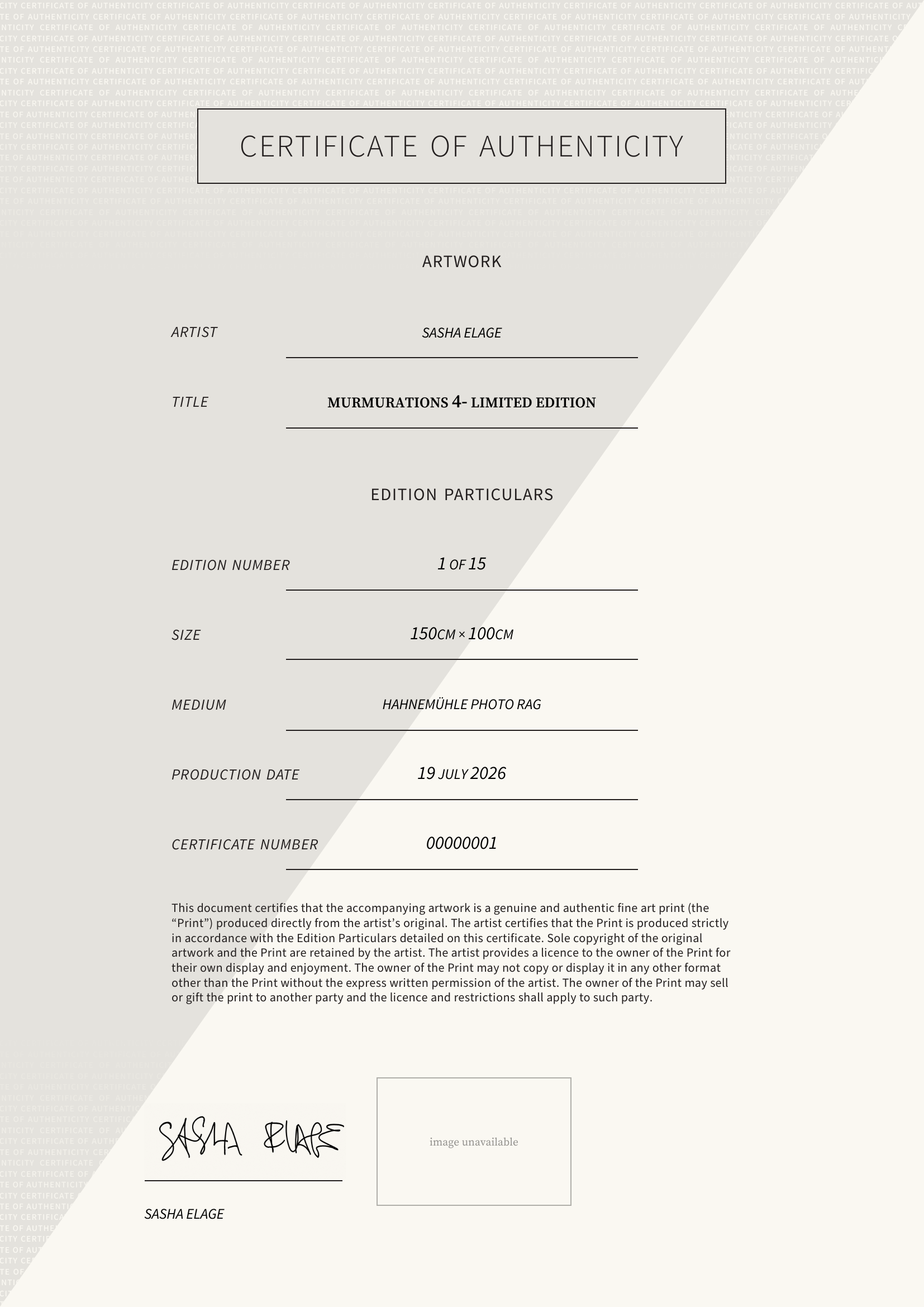 Murmurations 4- Limited Edition — Certificate of Authenticity