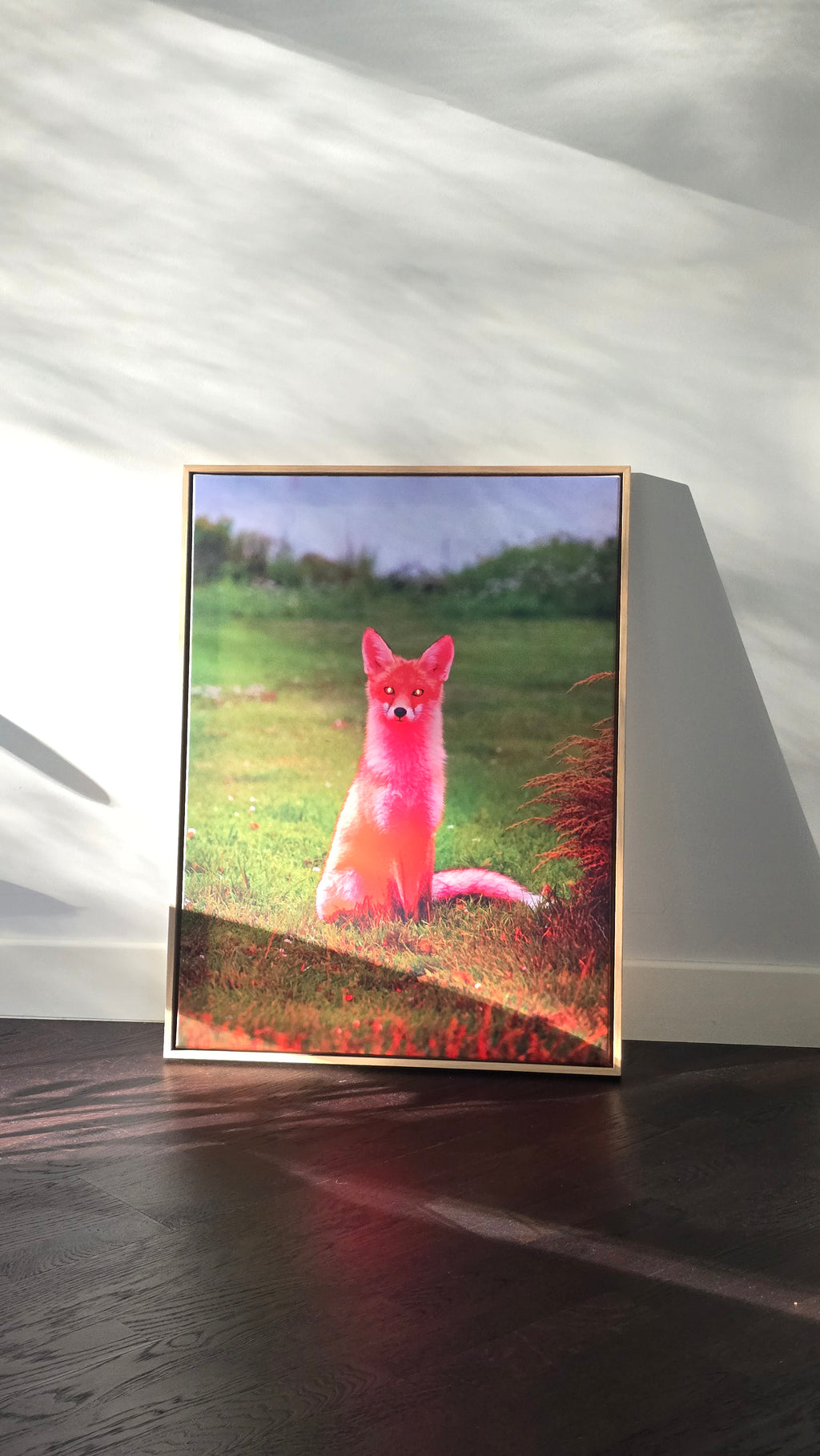 His Royal Pinkness - Framed Canvas