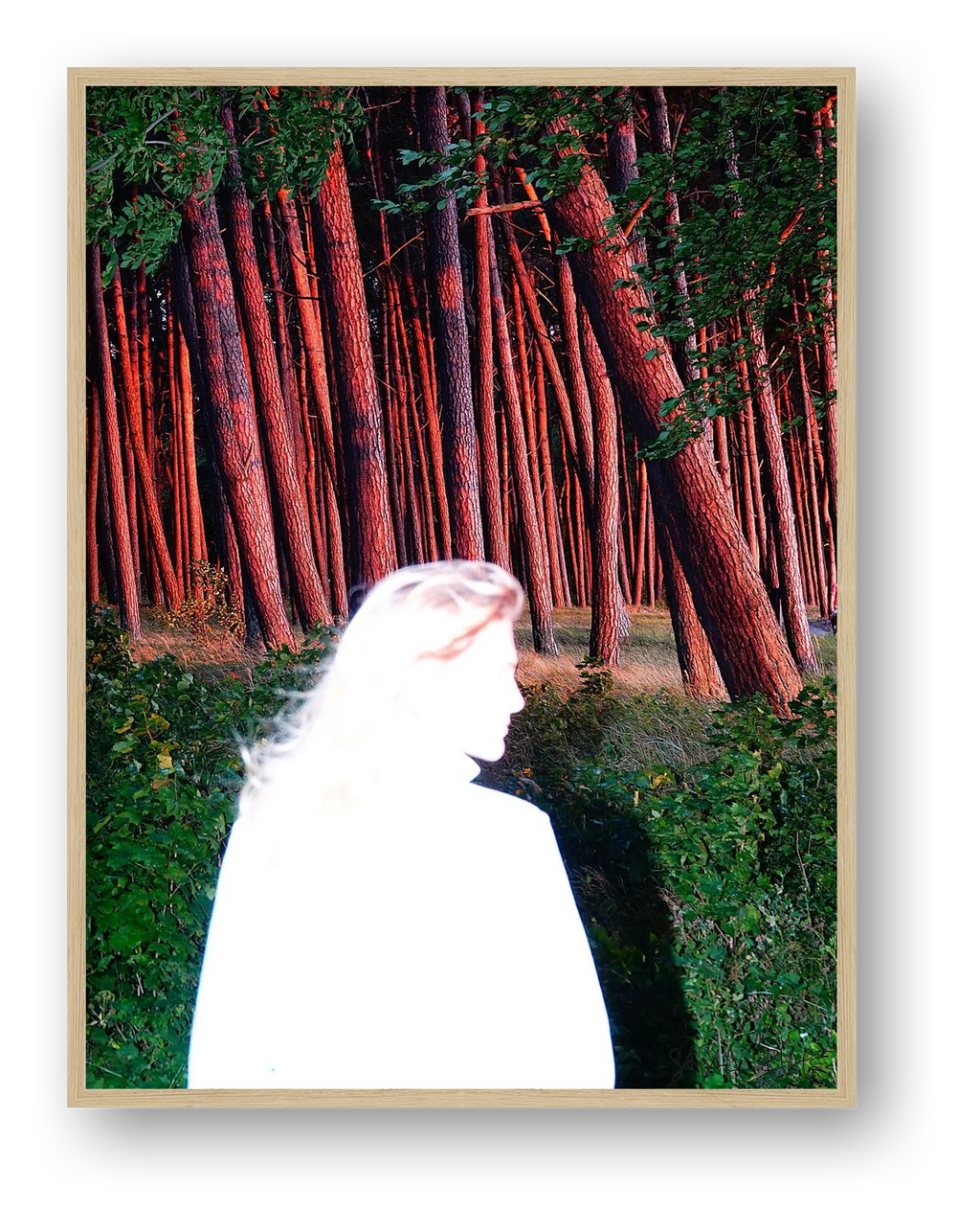 Lou, Flash, Forest - Limited Edition — framed