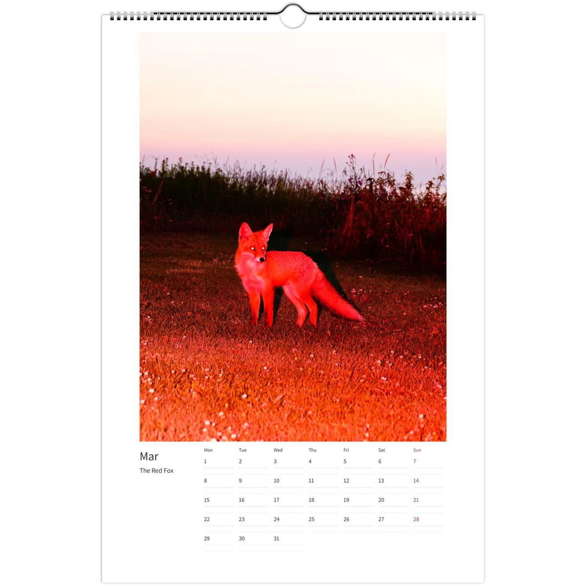 wall-calendars-2027-us-ca