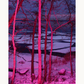 Frozen in Pink
