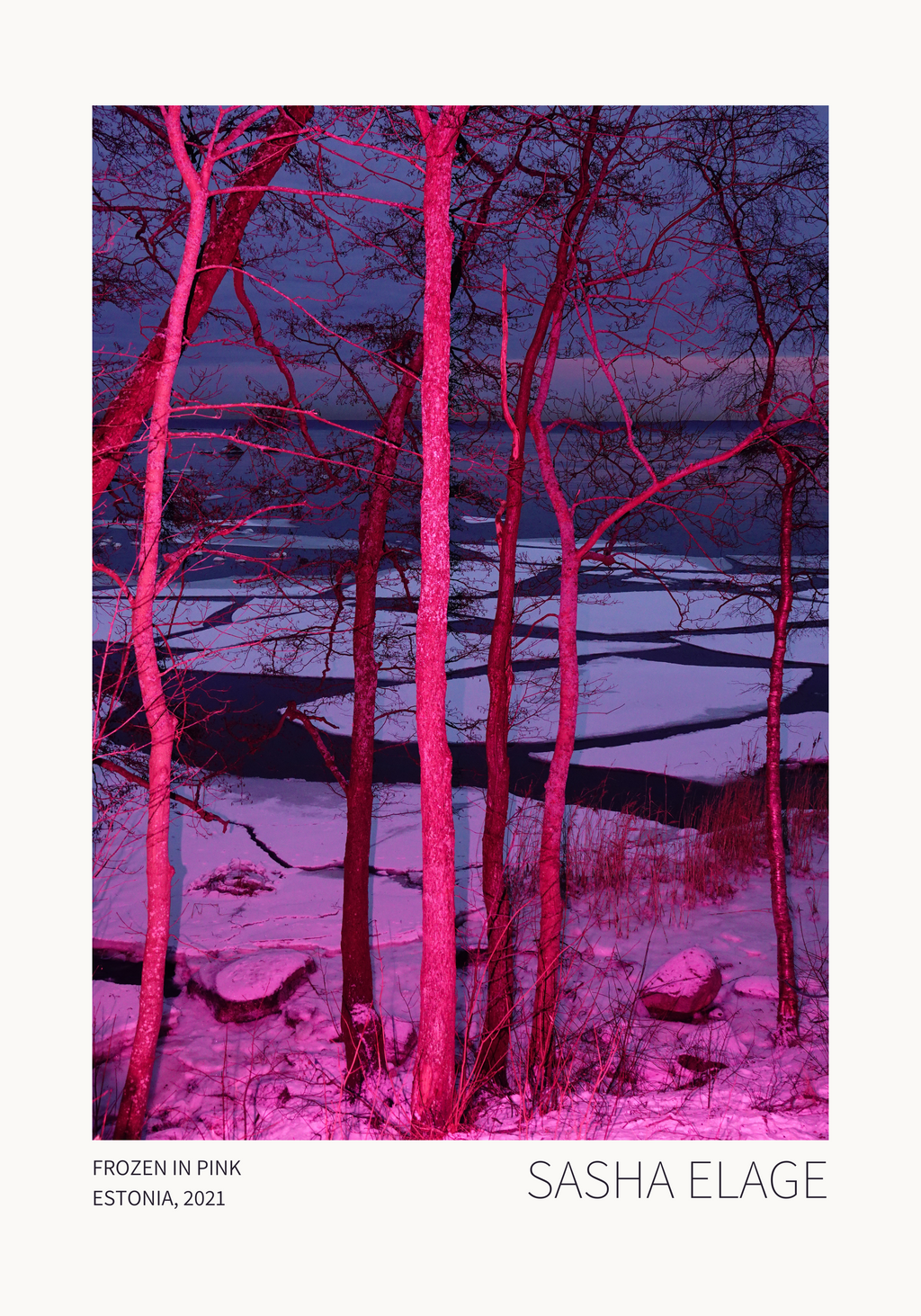 Frozen in Pink - Limited Edition