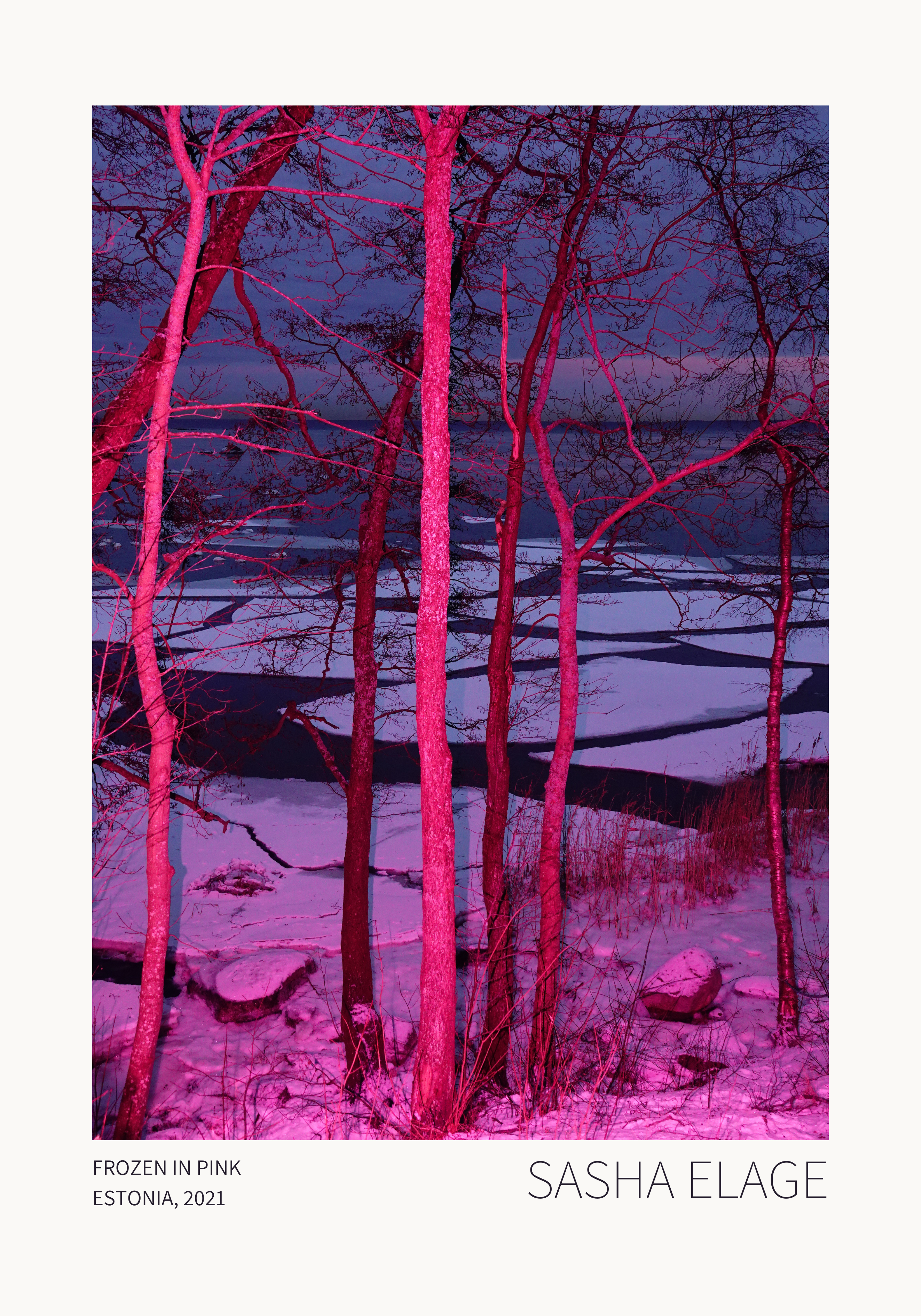 Frozen in Pink - Limited Edition