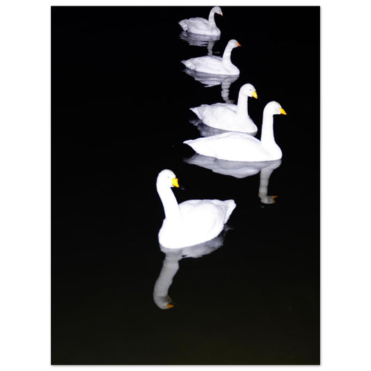 329a359b-0cac-4839-8959-dcd03a4305fa