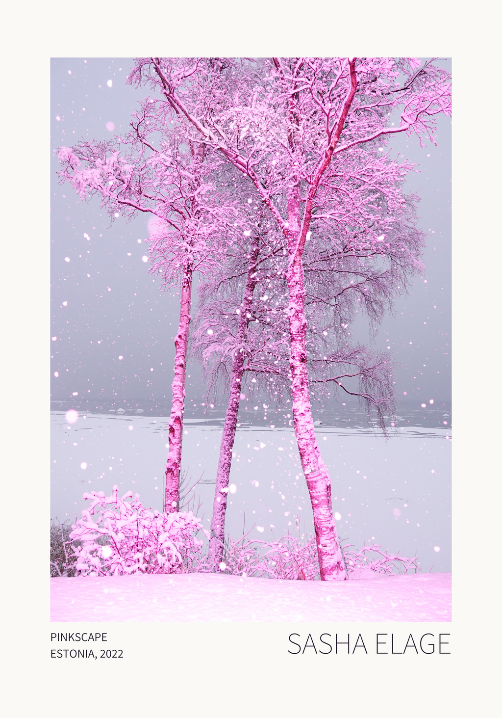 Pinkscape - Framed Canvas
