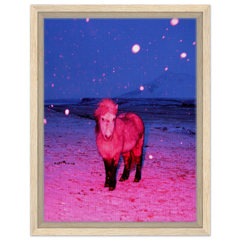 the-magic-horse-framed-canvas