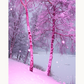 Pinkturesque