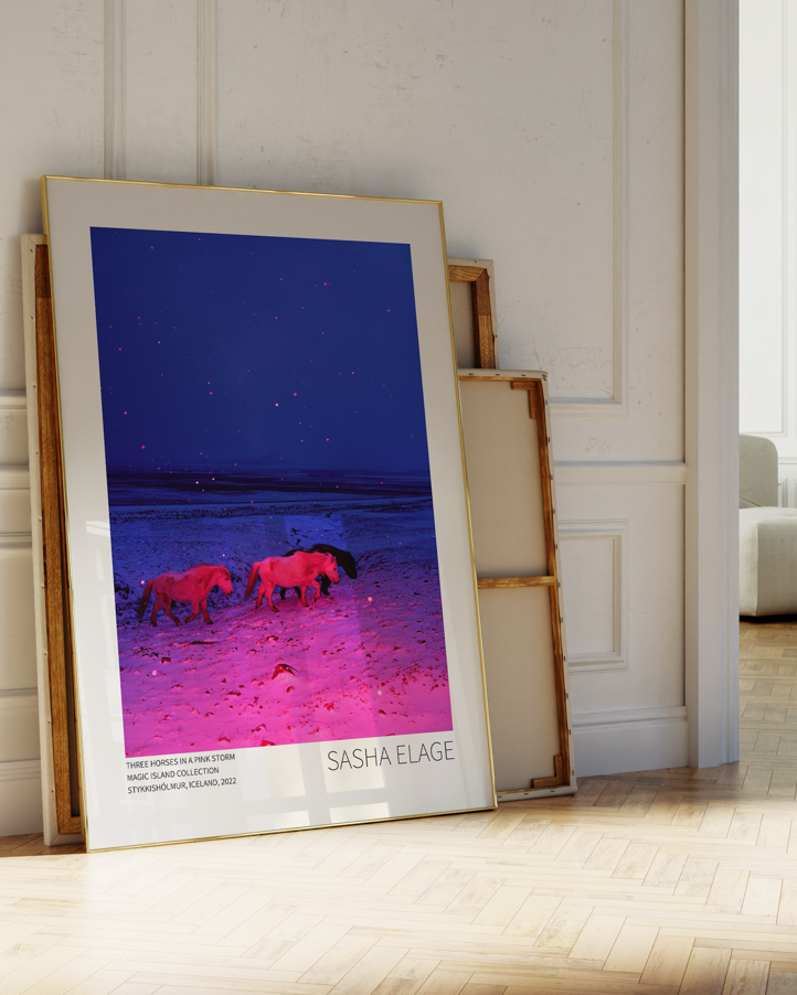 Three Horses in a Pink Storm - Framed Canvas