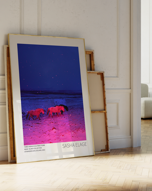 Three Horses in a Pink Storm, fine art photograph by Sasha Elage, Magic Island collection
