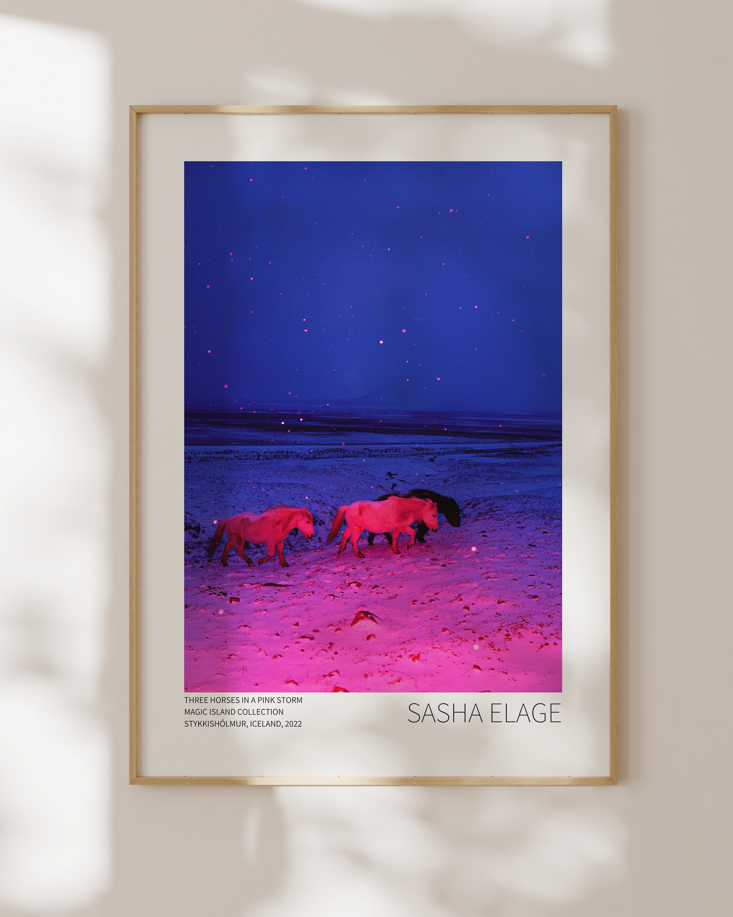 Three Horses in a Pink Storm - Framed Canvas