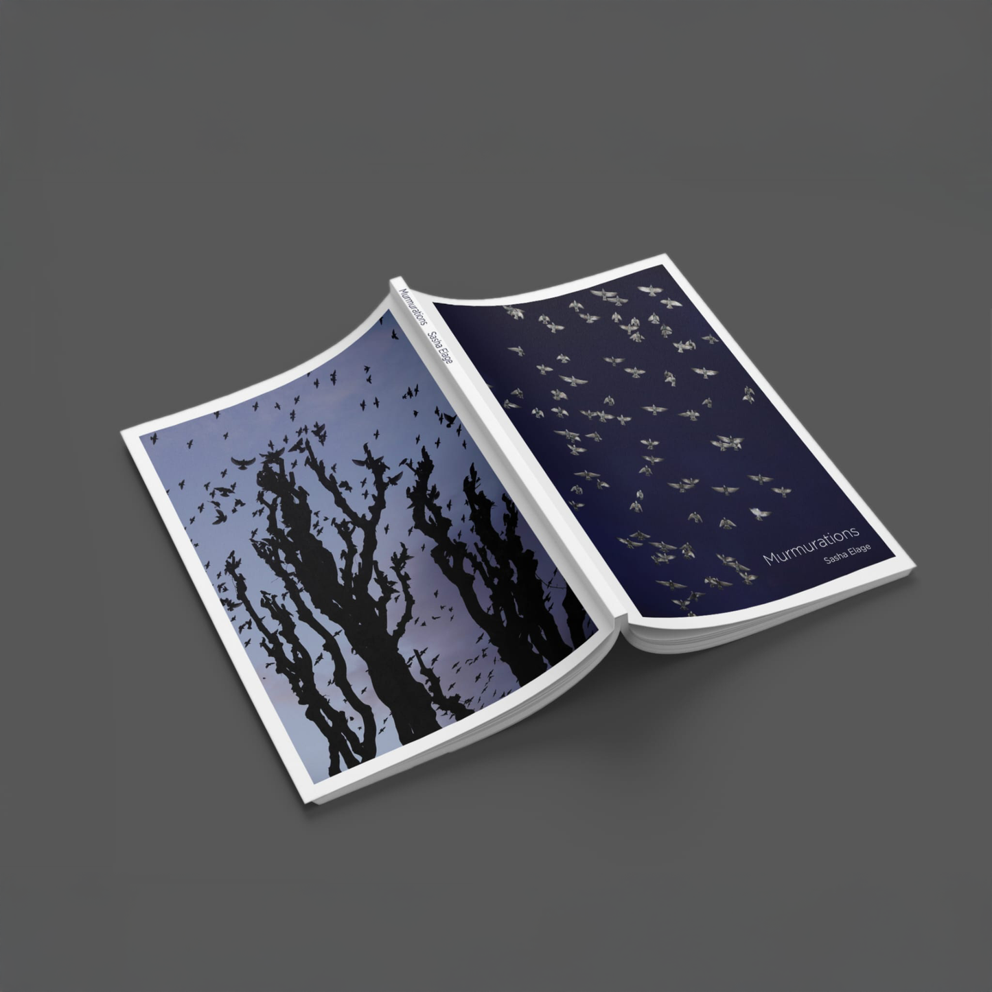 "Murmurations" Photography Book