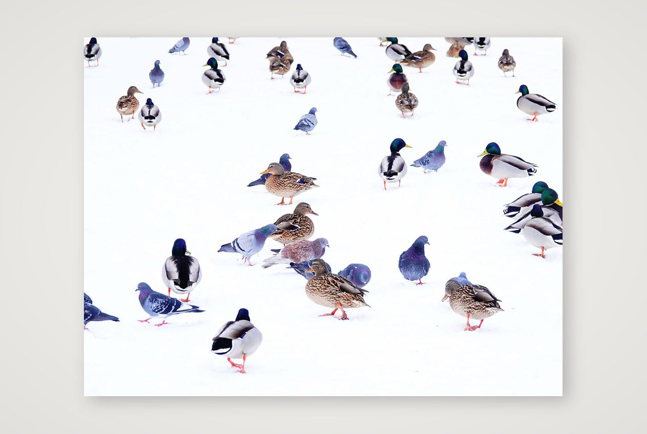 The Gathering 1-Limited Edition — 80×60cm, 31×24" Print only