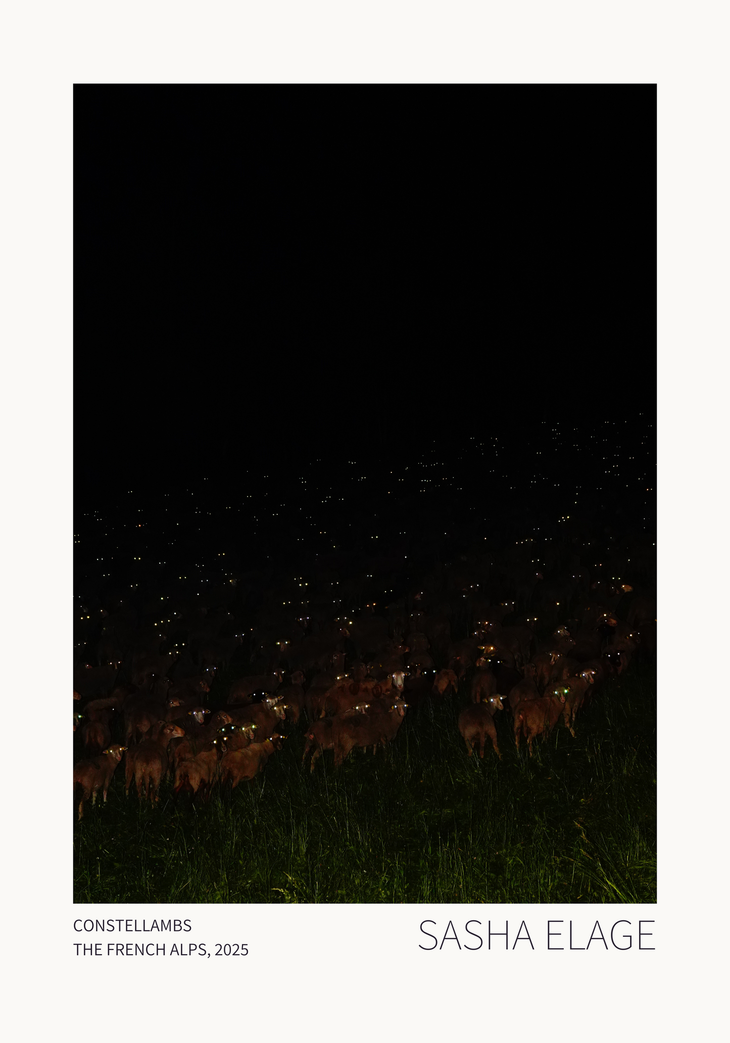 Constellambs