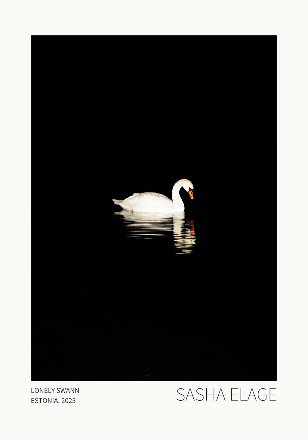 Lonely Swan - Open Edition