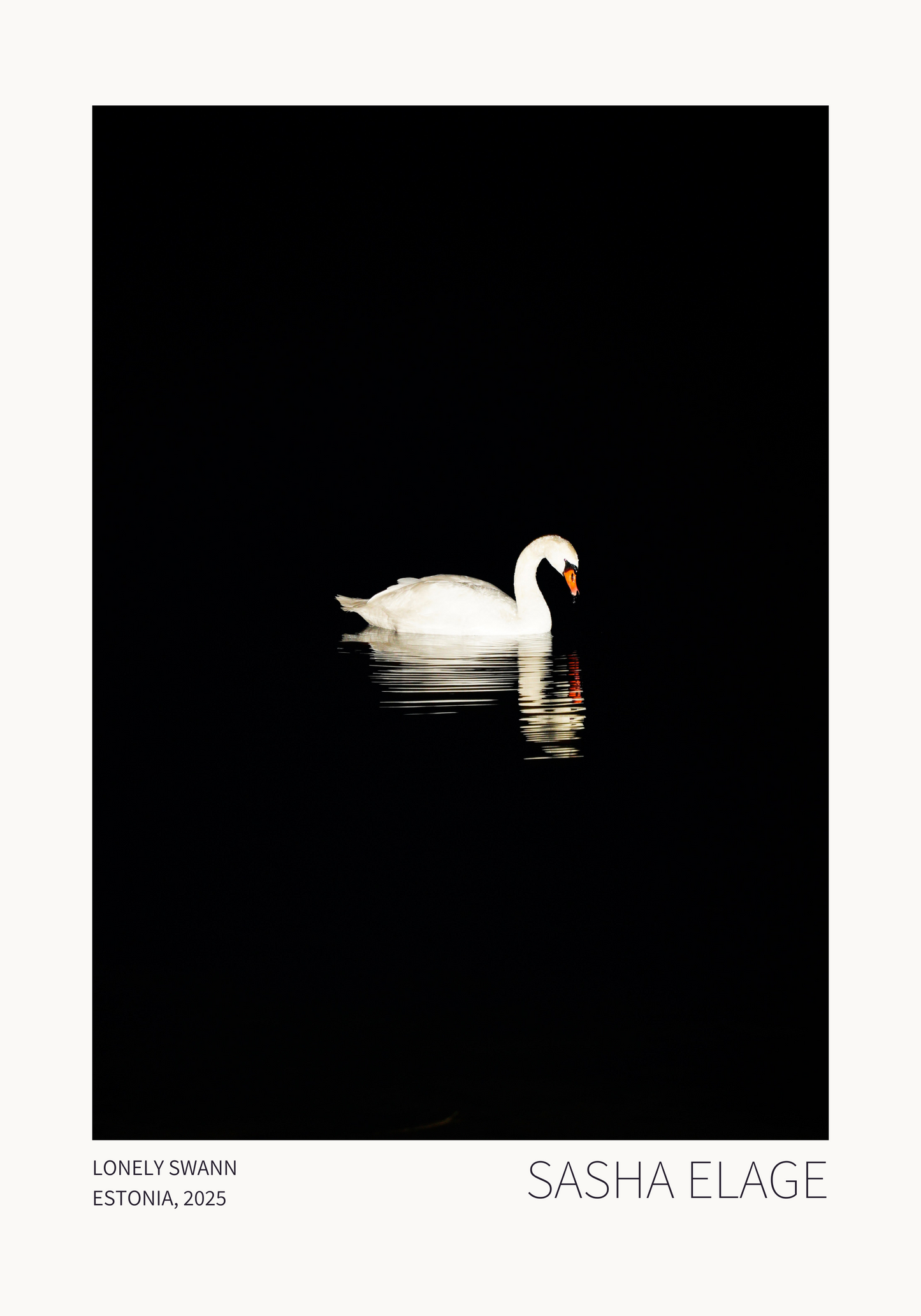 Lonely Swan