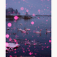 Pink Snow, Swan Lake