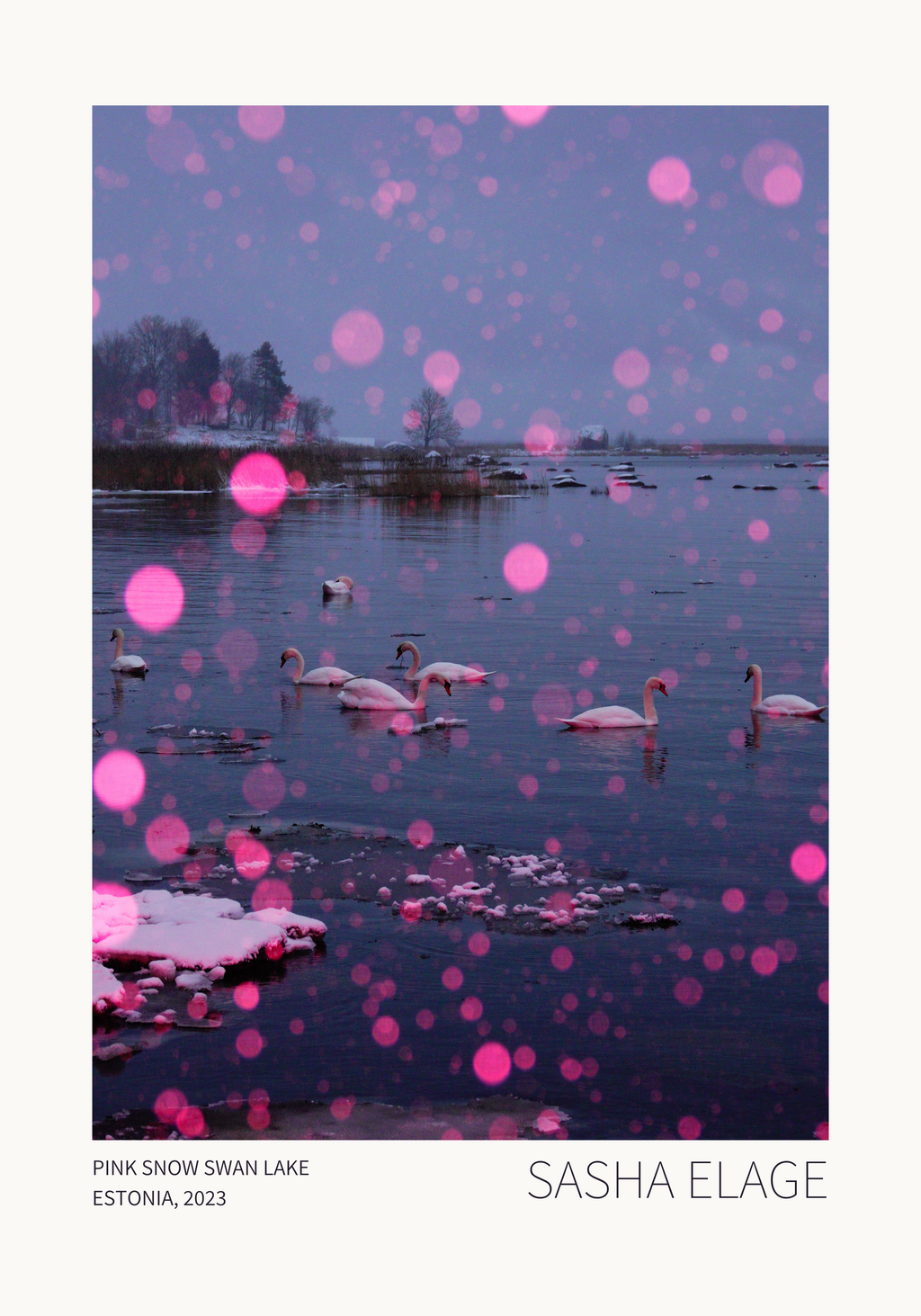 Pink Snow, Swan Lake - Open Edition