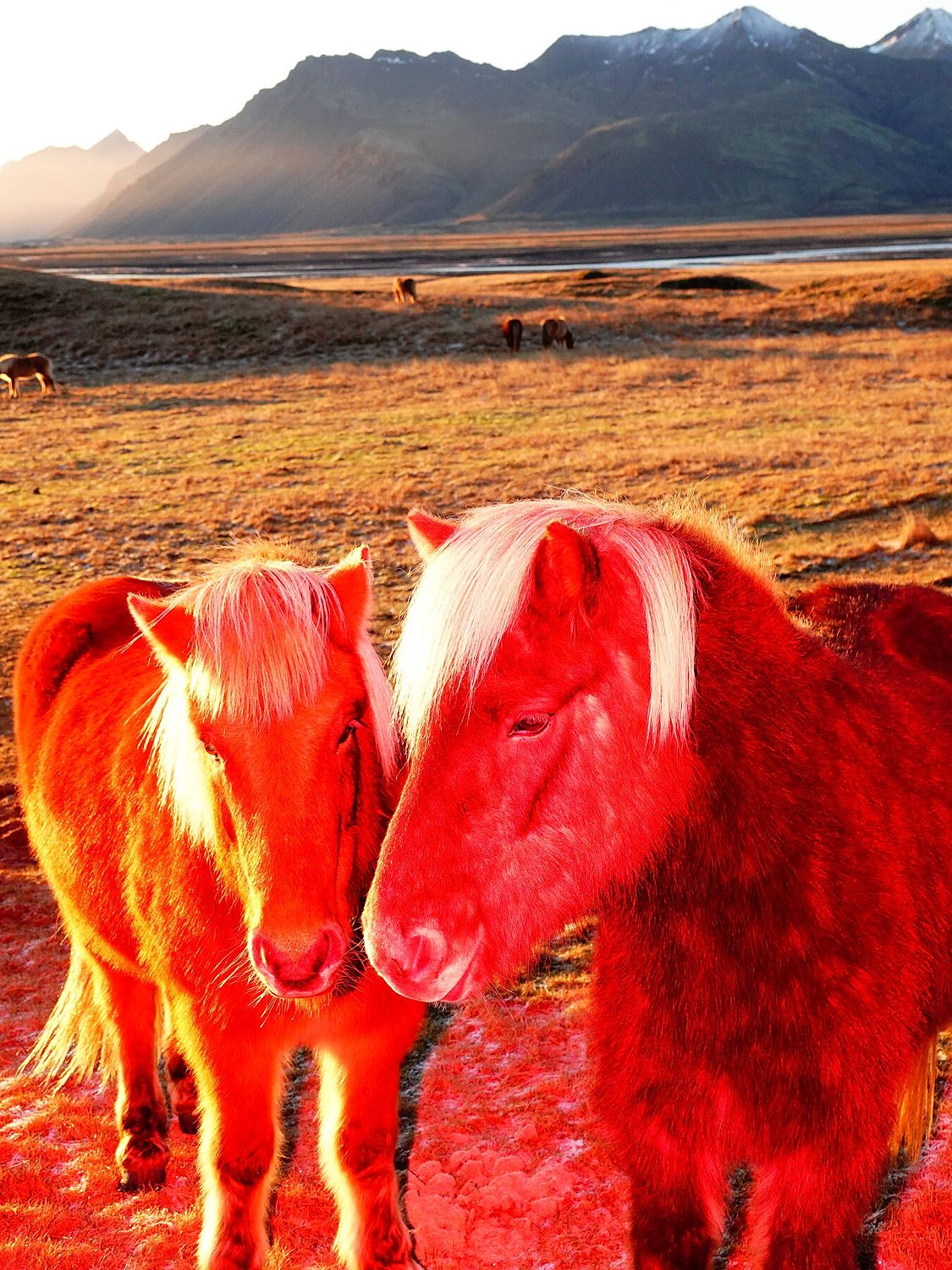 Lovers, fine art photograph by Sasha Elage, Magic Island collection