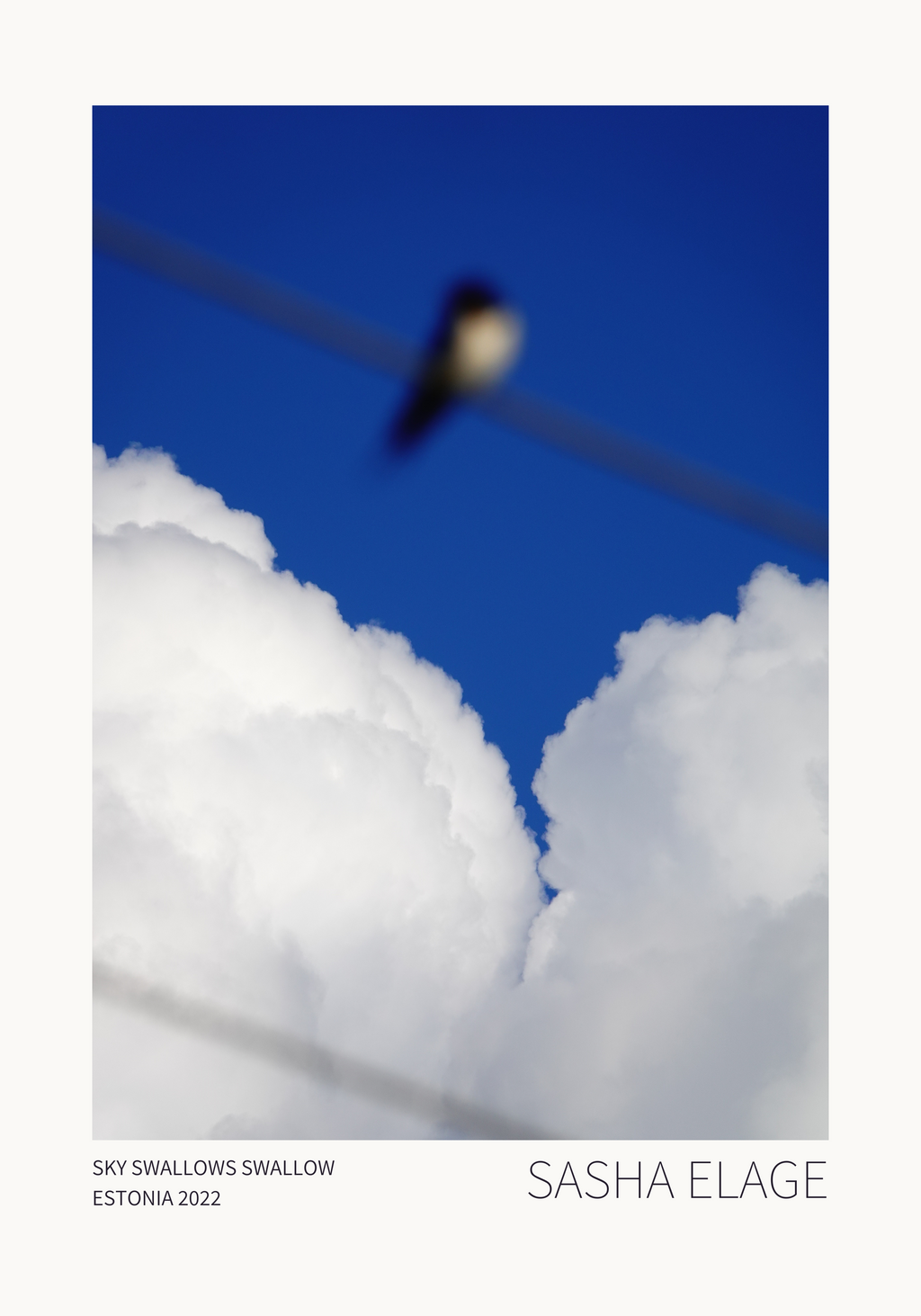Sky Swallows Swallow - Open Edition