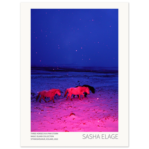 Three Horses in a Pink Storm, fine art photograph by Sasha Elage, Magic Island collection