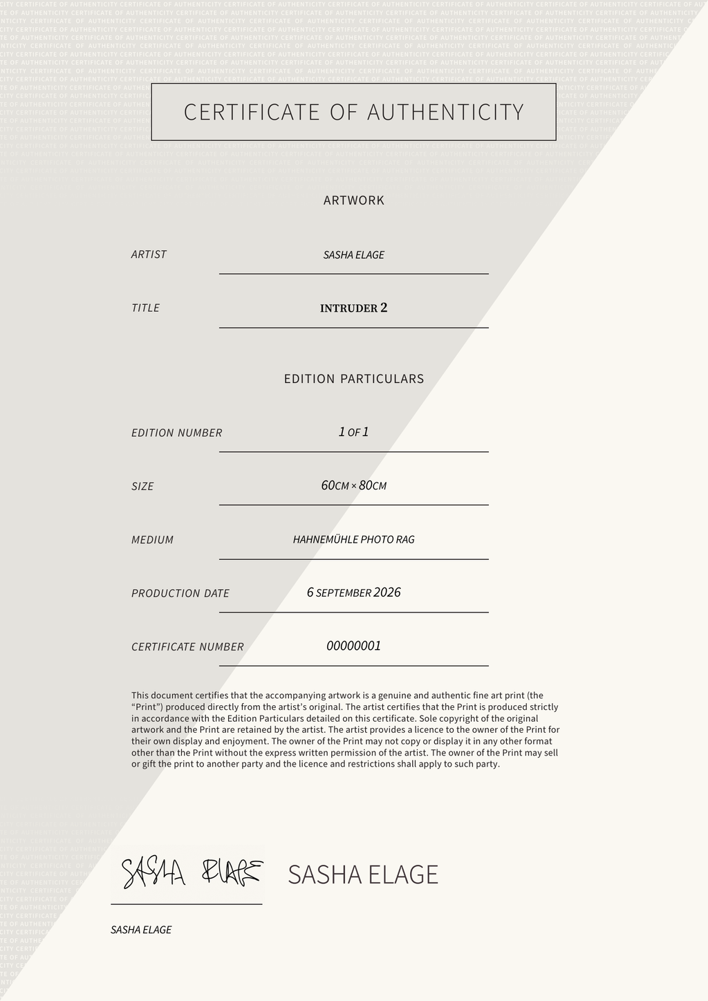 Intruder 2 — Certificate of Authenticity