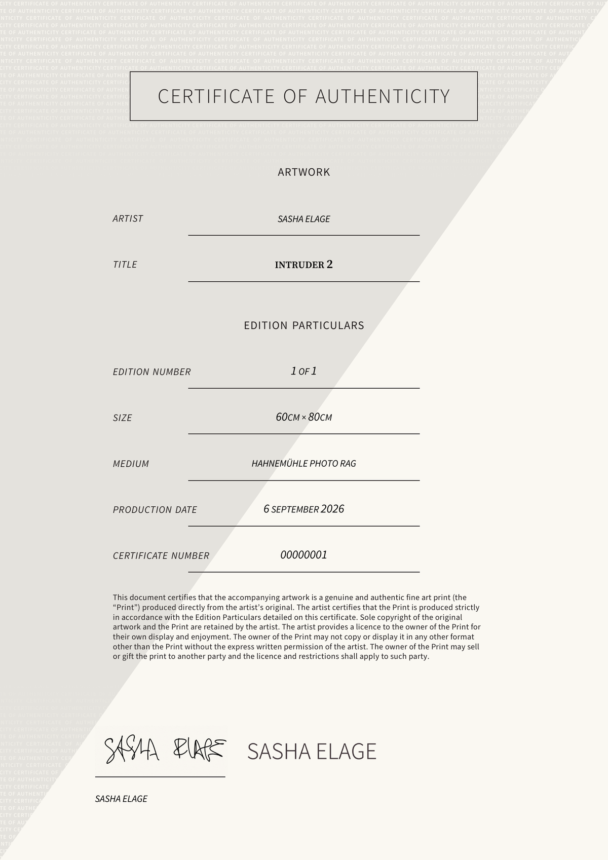 Intruder 2 — Certificate of Authenticity