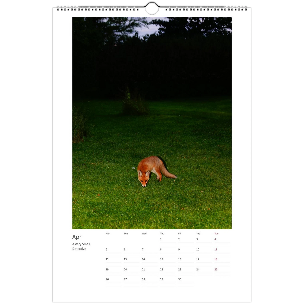 2027 Foxes Calendar