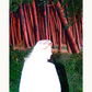 Lou, Flash, Forest