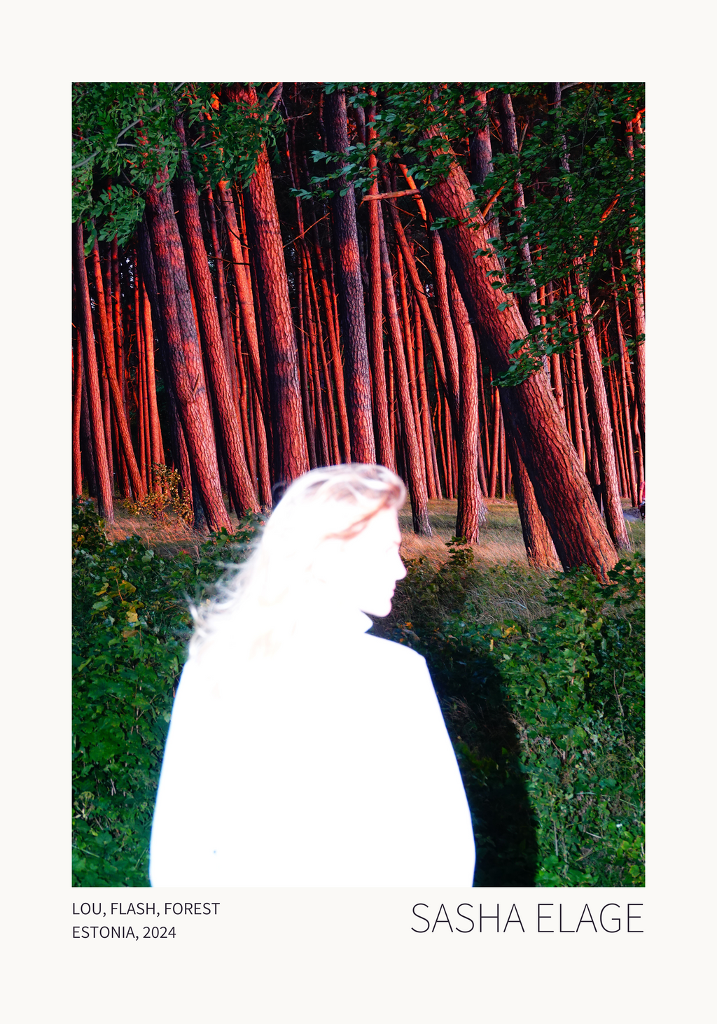 Lou, Flash, Forest - Limited Edition