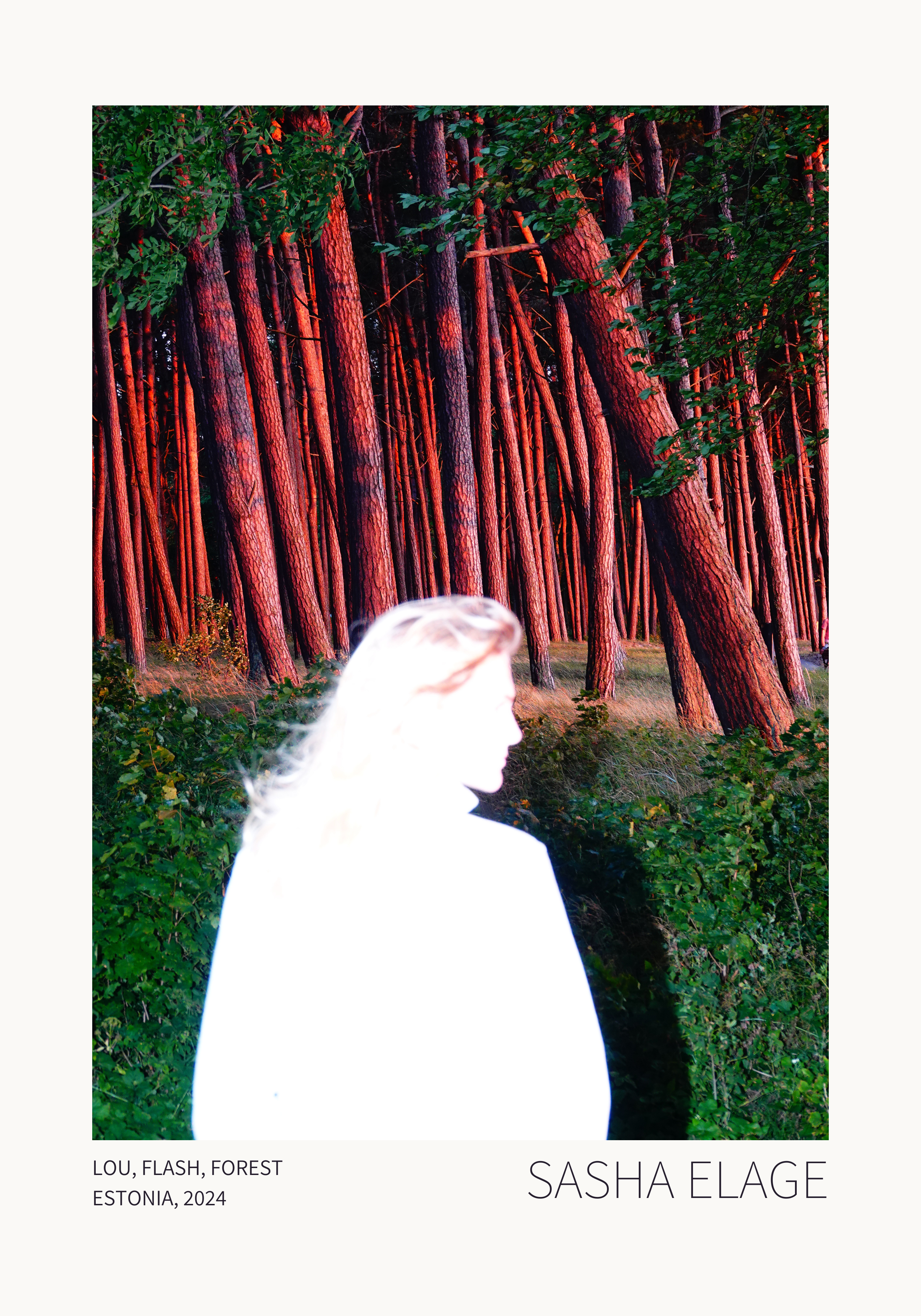 Lou, Flash, Forest - Limited Edition