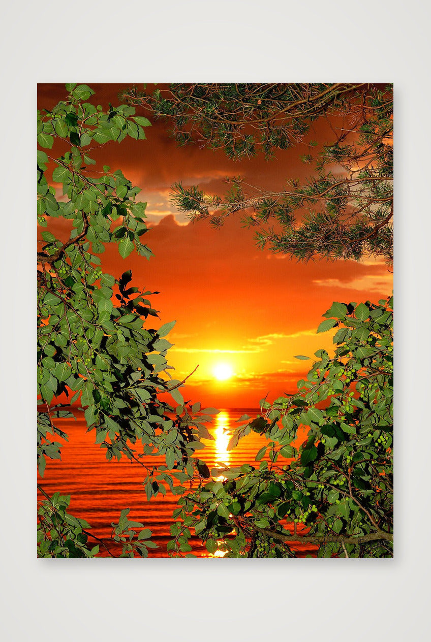 Magic Sunset - Limited Edition — 60×80cm, 24×31" Print only