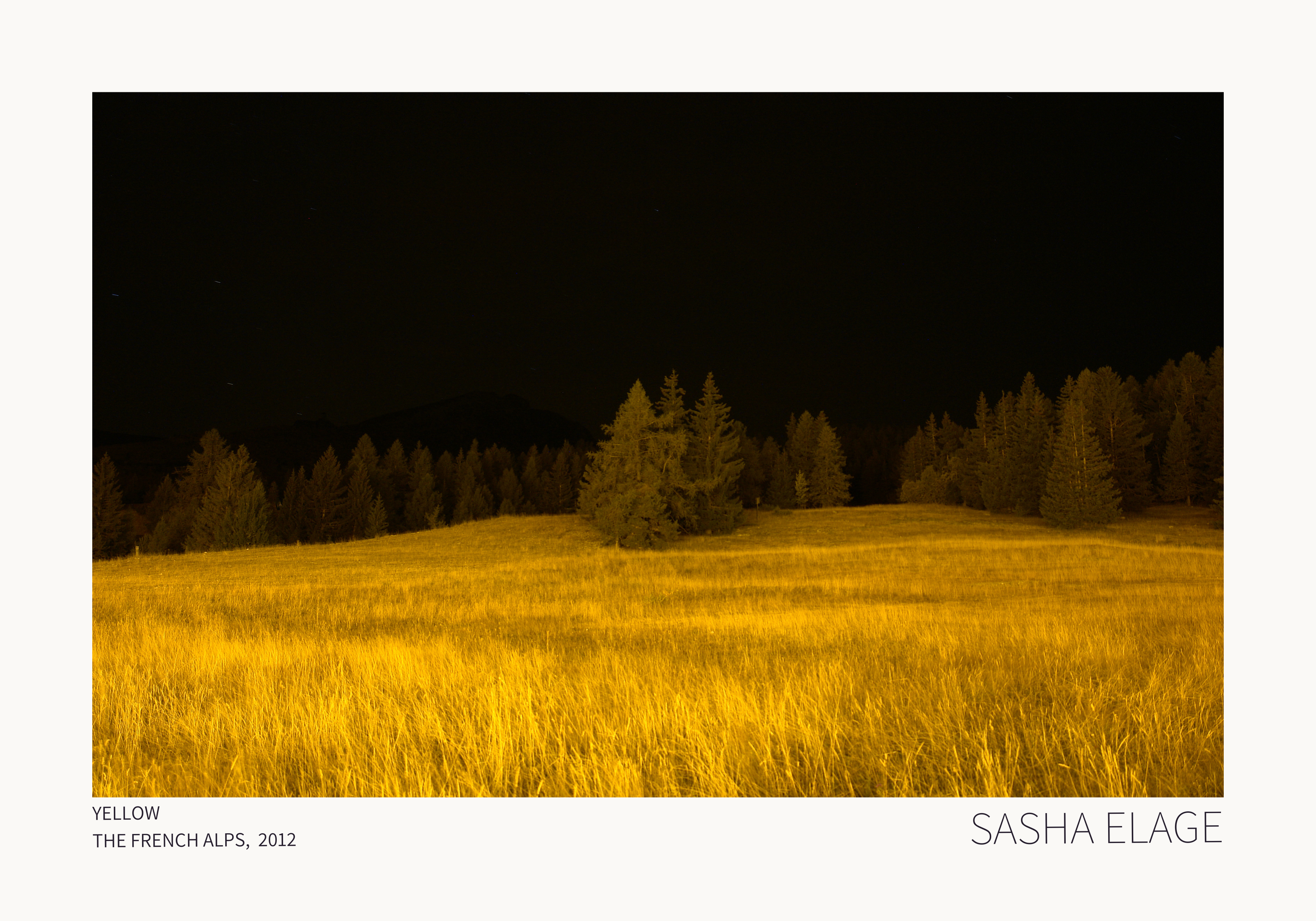 Yellow - Framed Canvas